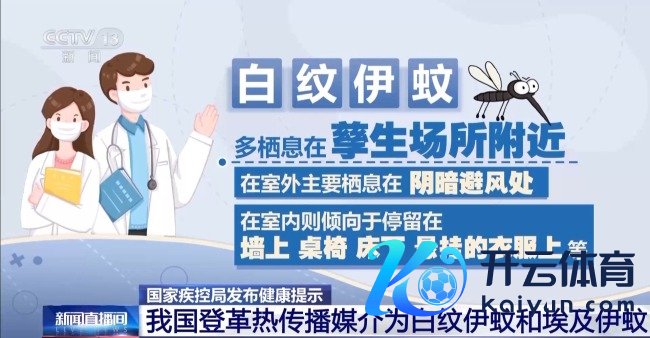 我国插足登革热流行季 出现这些症状需警惕