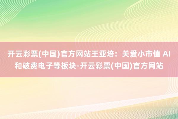 开云彩票(中国)官方网站王亚培：关爱小市值 AI和破费电子等板块-开云彩票(中国)官方网站